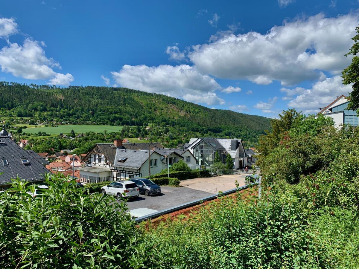 Villa Frieden Hotel & Seminarhaus Bad Blankenburg Exterior photo